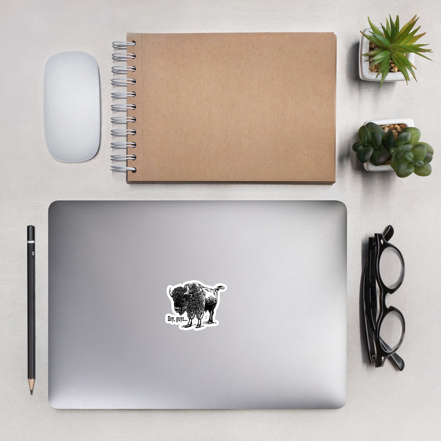 Vinyl Sticker, Bison, Midwest, Kansas, Hey guys!