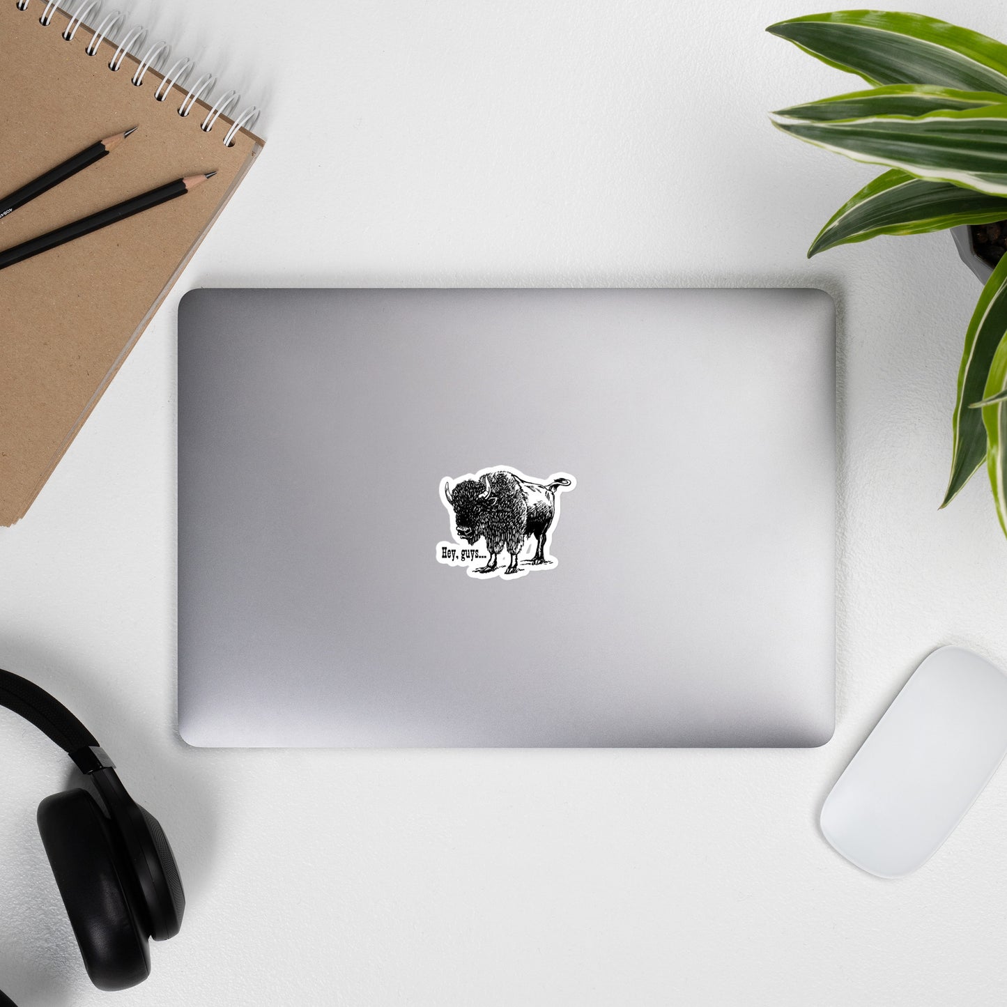 Vinyl Sticker, Bison, Midwest, Kansas, Hey guys!