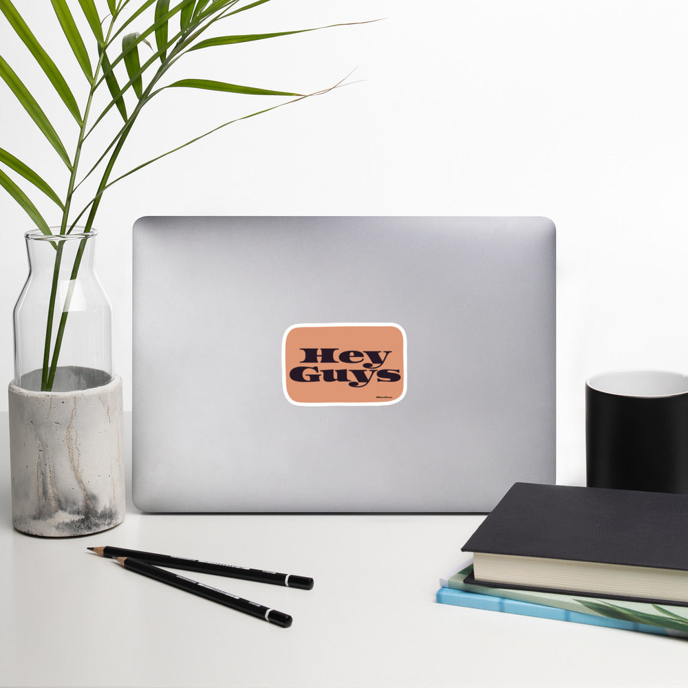 Vinyl Stickers, Hey Guys, Midwest Phrases