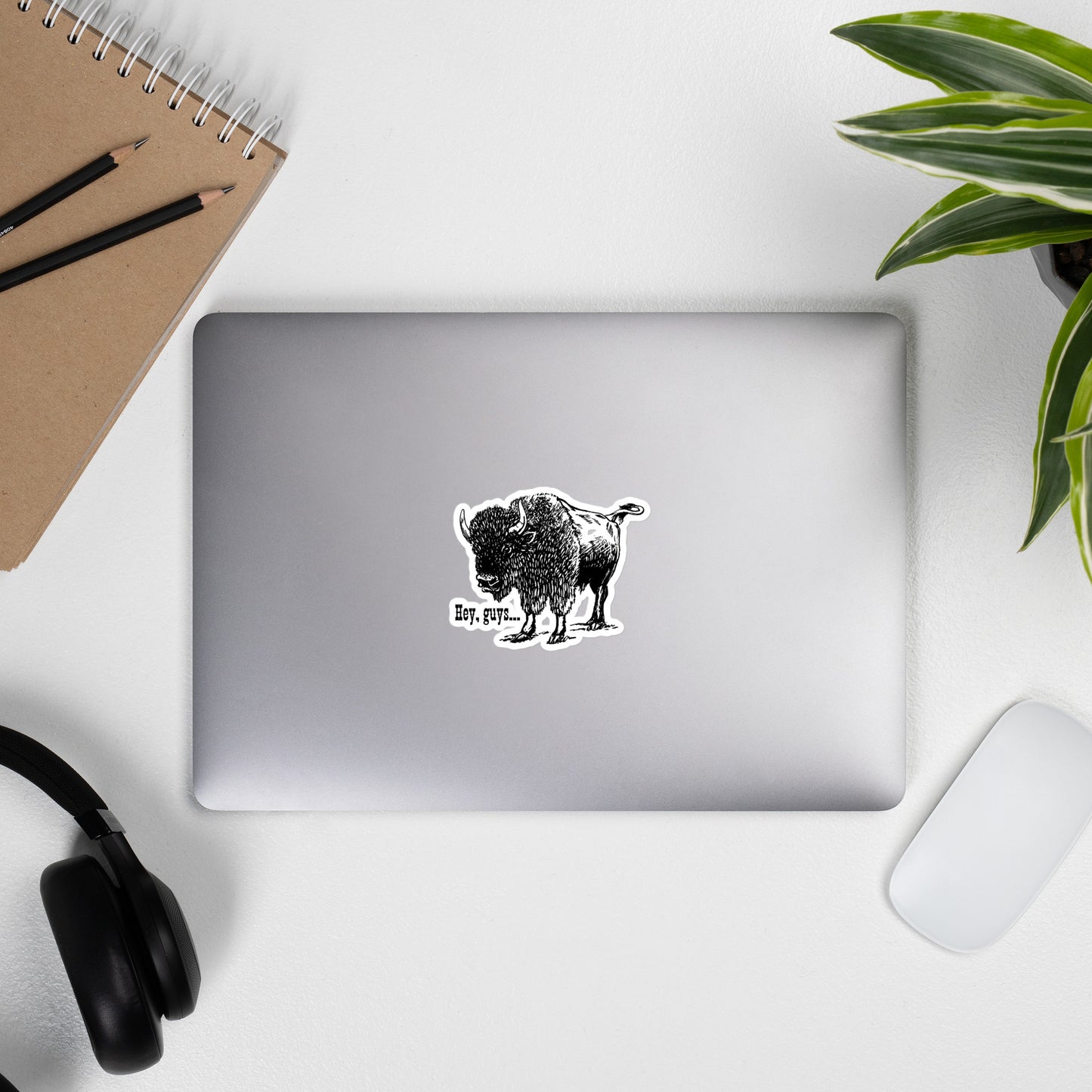 Vinyl Sticker, Bison, Midwest, Kansas, Hey guys!