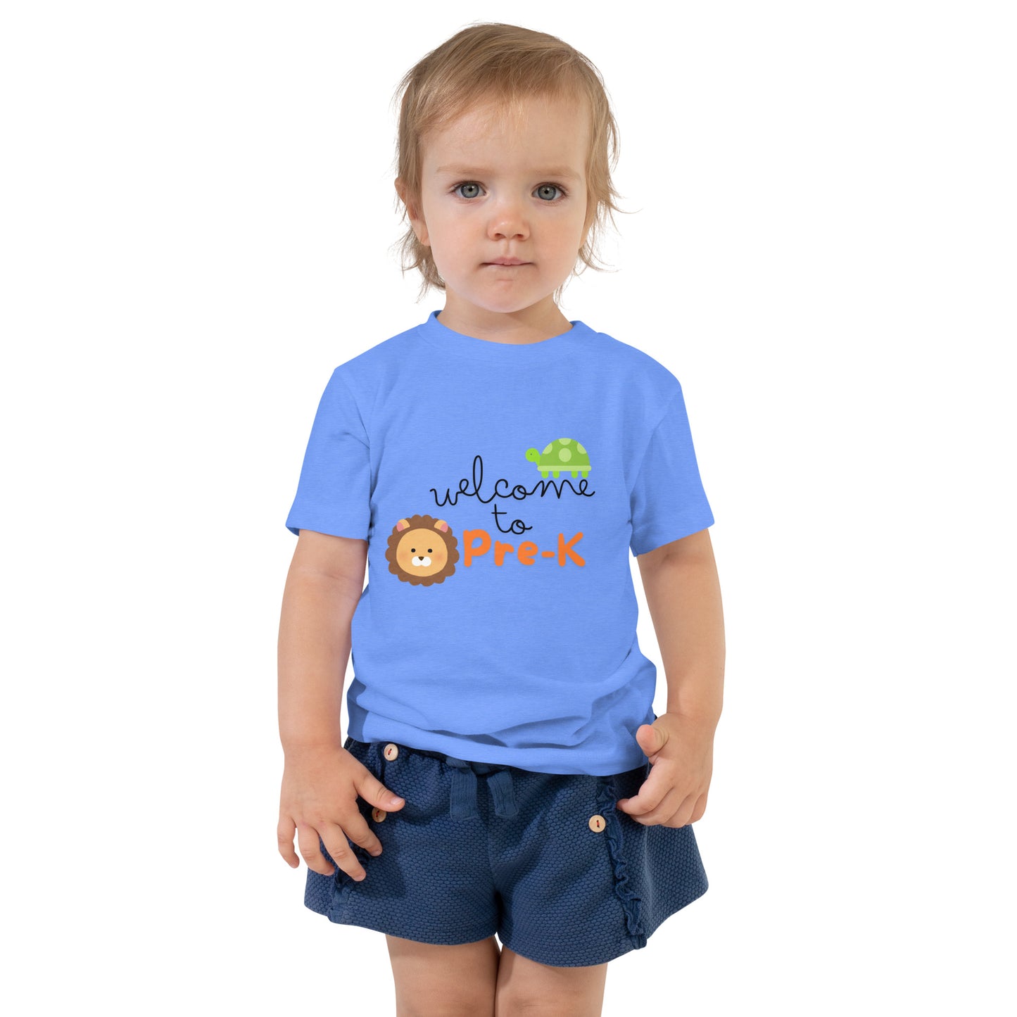 Back to School T-shirts, Toddler T - Multiple Colors Available