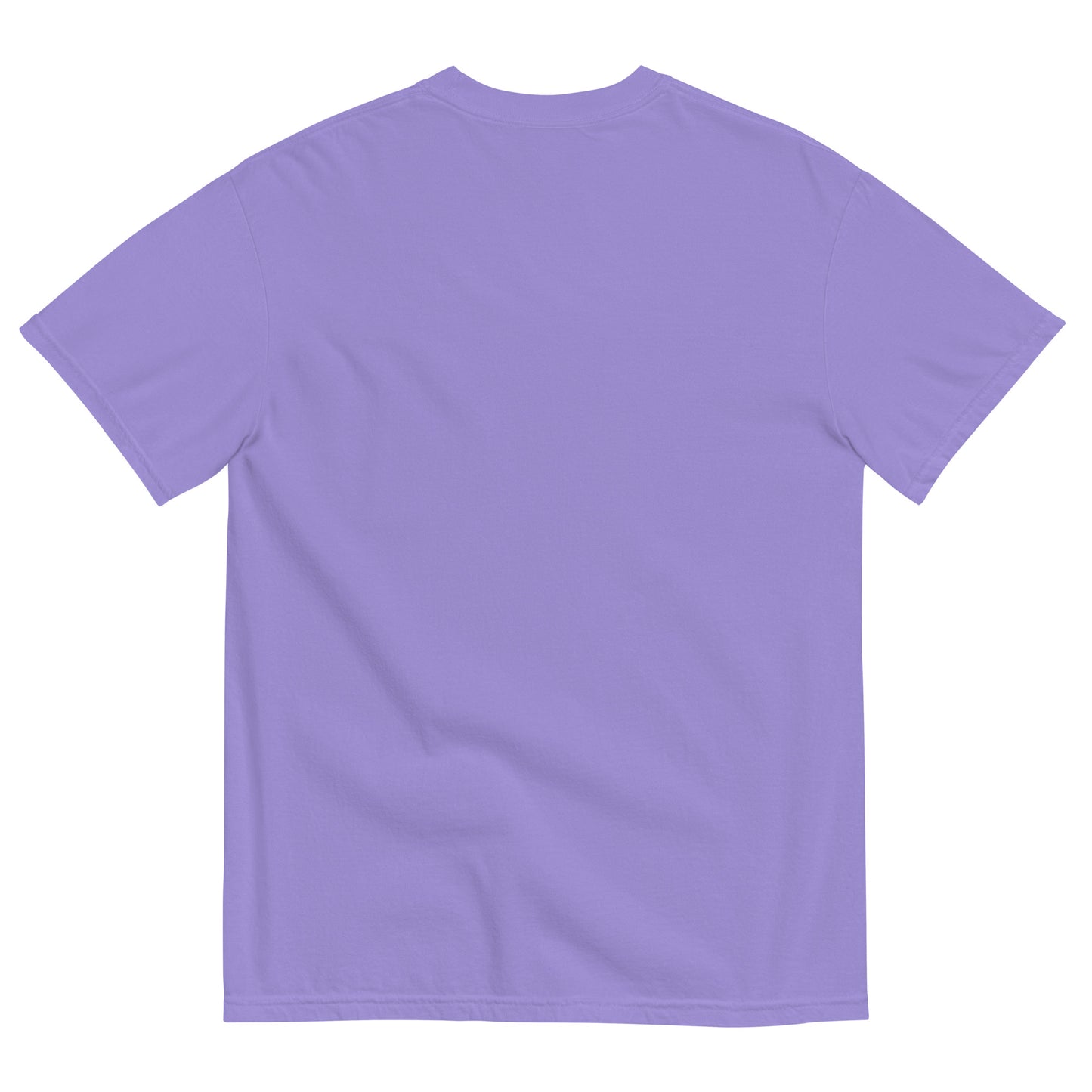 Halloween T, Humor - Multiple Colors Available