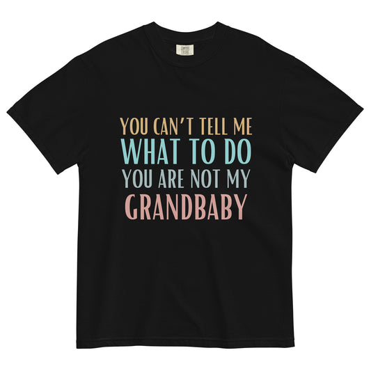 Humor T-shirt, Grandparents - Multiple Colors Available