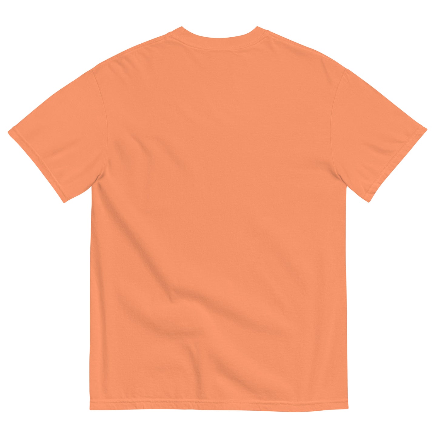 Halloween T, Humor, Howdy Pumpkin - Multiple Colors Available